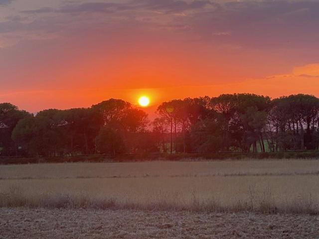 Can Massanet Llagostera Kültér fotó